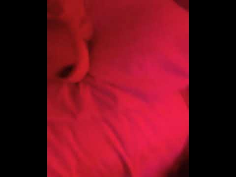 @lowk3ypr Ft @riandrespr - La calle (freestyle)