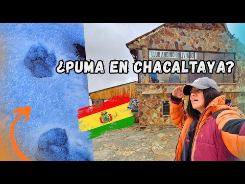 Visit abandoned ski resort - CHACALTAYA 5400 meters above sea level