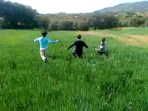 OSTIA DE CONE-BATERNO