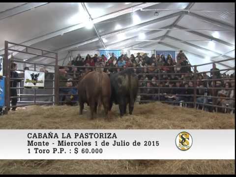 01-07-15 Ventas de Toros P.P. - Cabaña La Pastoriza - San Miguel del Monte.