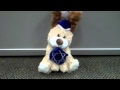 Hanukkah Puppy Plays Dreidel Song