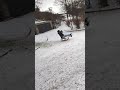 Ich Beim Rodeln Das Tat Weh