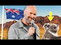 Koala STDs Bonus Jokes Removed From Netflix