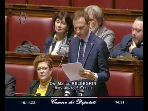 Marco Pellegrini - intervento in Aula 16/11/2022