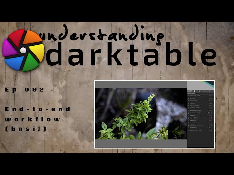 darktable ep 092 - End-to-end workflow (basil)