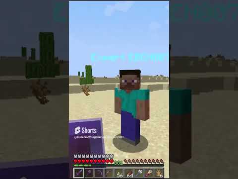 Shocking: I Destroyed His Bunny in Minecraft