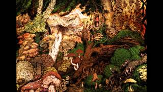 Blitzen Trapper - Echo/Always On/Easy Con