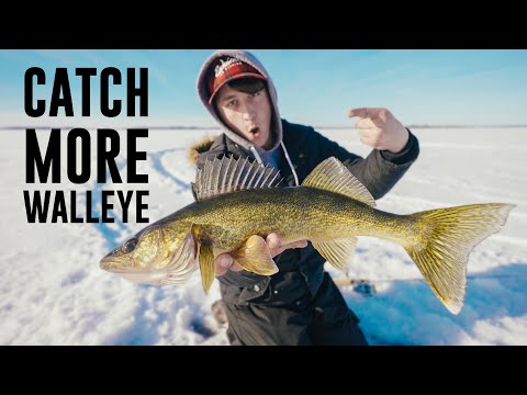 How To Catch MORE Walleye on Ice