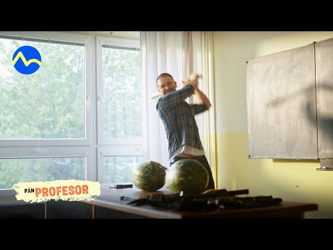 Pán profesor - Samo veľmi stručne o násilí