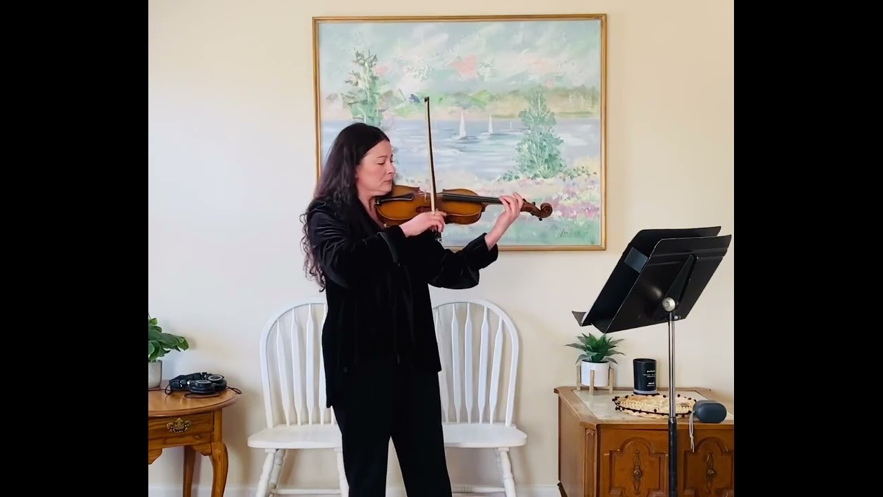Promotional video thumbnail 2 for OG Violin