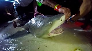 Kayak Fishing: Battle in the Bahamas Tournament - Barracudas and Sharks