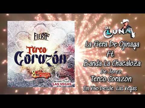 La Fiera De Ojinaga - Terco Corazon Feat. Banda La Chacaloza De Jerez (En Vivo Desde Las Vegas 2022)