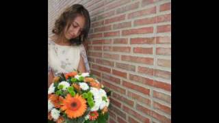 robin spielberg - butterfly