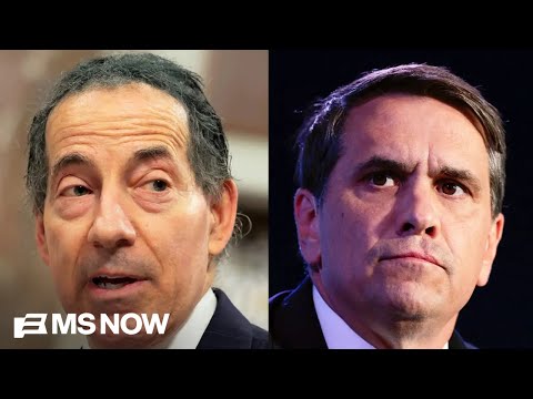 Rep. Raskin: Congress must shut down Trump 