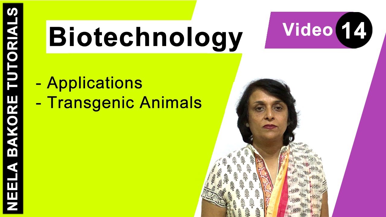 Biotechnology | NEET | Transgenic Animals | Neela Bakore Tutorials