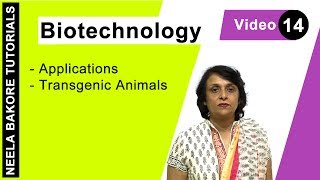 Biotechnology | NEET | Transgenic Animals | Neela Bakore Tutorials