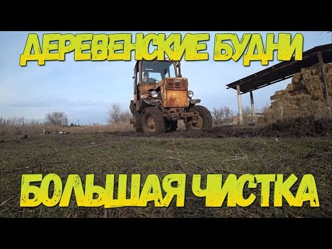 Один день из нашей жизни в деревне - Большая чистка / Отправили часть сувениров / Семья в деревне