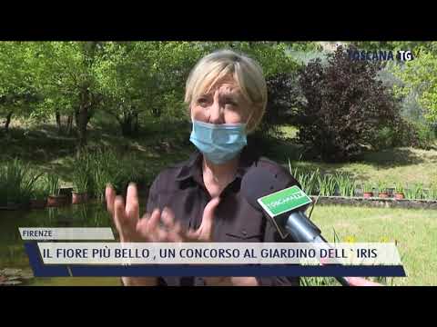 2021-05-06 FIRENZE - IL FIORE PIÙ BELLO , UN CONCORSO AL GIARDINO DELL'IRIS
