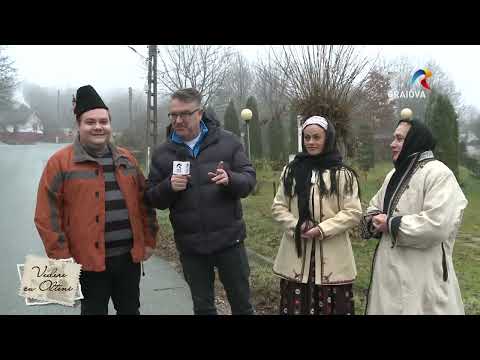 Vedere cu Olteni în comuna Gogoșu