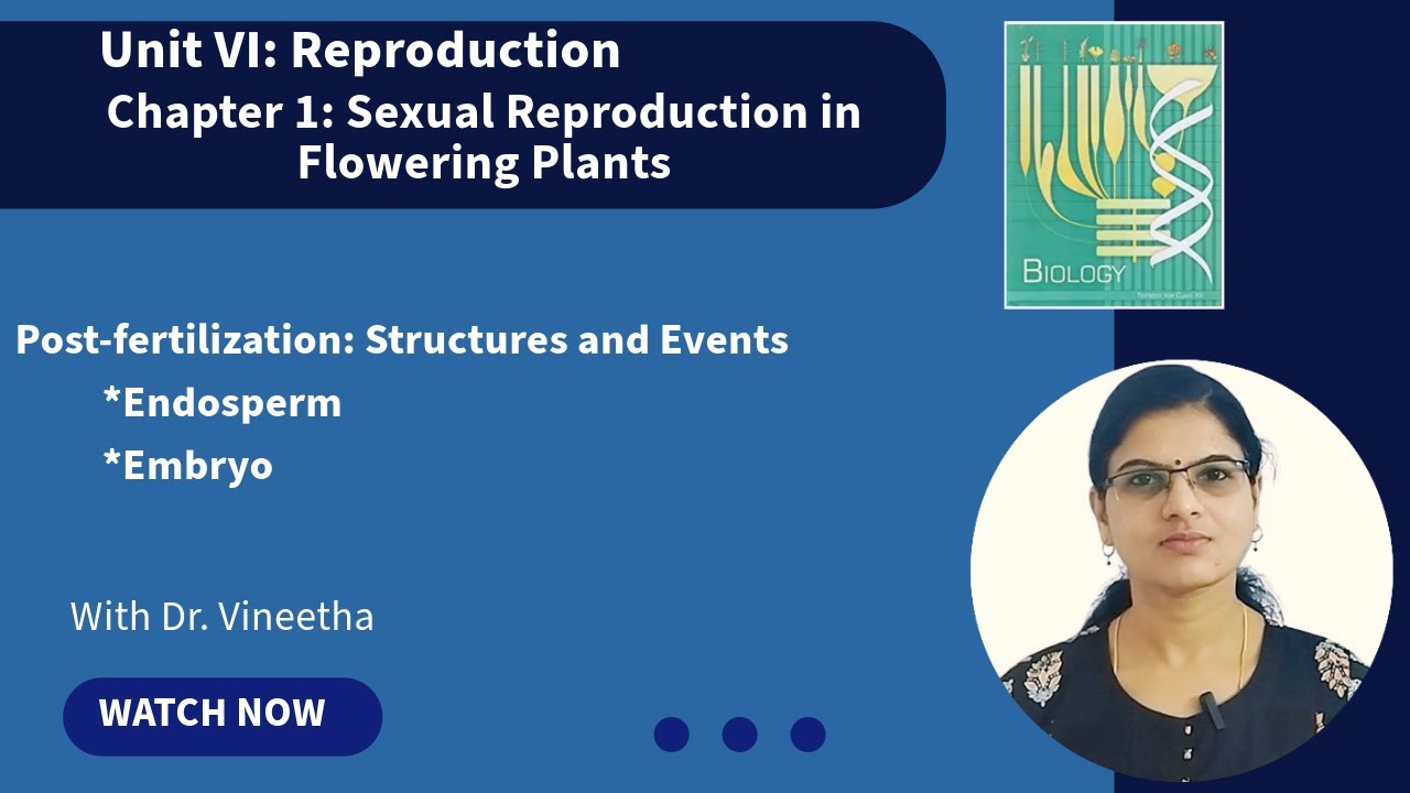 Sexual Reproduction in Flowering Plants | Post-fertilization: Structures and Events | Class 12