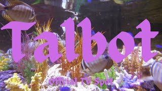 Talbot The Alton Towers Experience Official TV Spot 'Clocks'