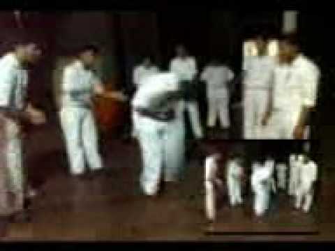 careyites rock n roll