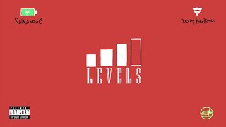 Levels Music Video
