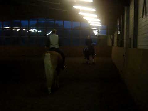 Feine Dame v. Florestan I