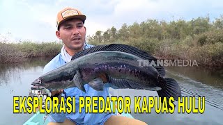 Download lagu [FULL] EKSPLORASI PREDATOR KAPUAS HULU | MANCING MANIA STRIKE BACK (27/09/25) mp3