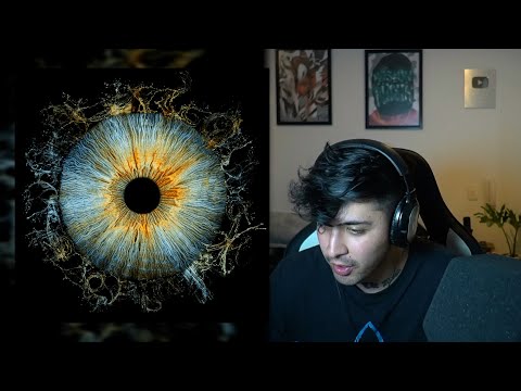 DAB REACCIONA A Seven Kayne, Duki - DEL ESTUDIO AL ESTADIO