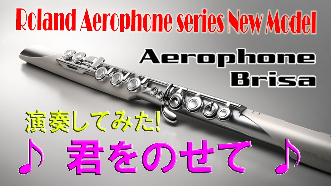 【新製品】Roland Aerophone Brisa (ブリサ) でジブリ「君をのせて」を演奏してみた【フルート型電子管楽器 デモ演奏】