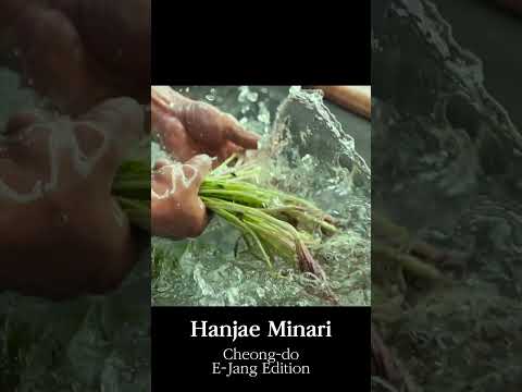 HANJAE MINARI 리미티드 에디션 국내 출시