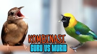 Download lagu KOMBINASI MASTERAN KAPAS TEMBAK | CUCAK RANTING | GURU VS MURID mp3 Download lagu KOMBINASI MASTERAN KAPAS TEMBAK | CUCAK RANTING | GURU VS MURID mp3