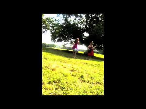 The Blue Rajas- Papyrus