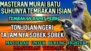 Download lagu MASTERAN BURUNG KASAR ISIAN NGEROL TAJAM MATERI EDAN || FULL ISIAN TEMBAKAN TAJAM KASARNYA EDAN mp3