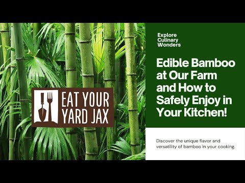 🎋 Explore Culinary Wonders: Edible Bamboo at Our Farm and How to Safely Enjoy in Your Kitchen! 🍲🌿