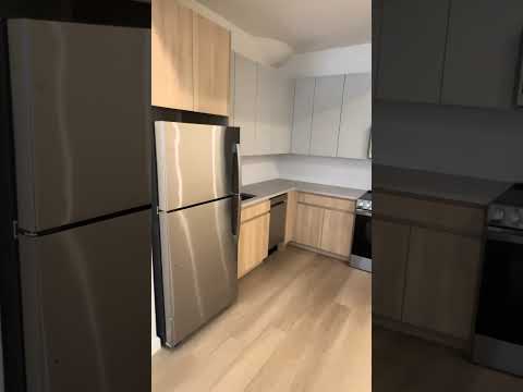 video 1