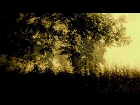 Misty Bywater - Hum The Wind