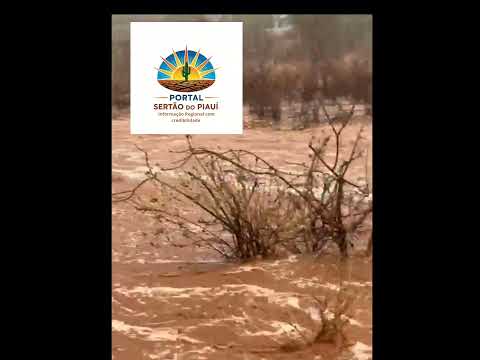 as primeiras chuvas em Dom Inocêncio -PI