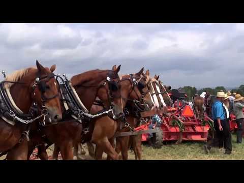 Horse Progress Days 2017: Horse Powered Machinery and Mule Drawn Wagon