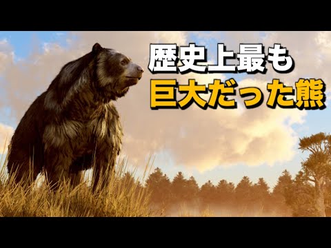 ウルスス・アルクトス・ミッデンドルフィ