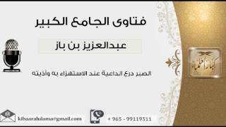 الصبر درع الداعية عند الاستهزاء به وأذيته - بن باز - مشروع كبار العلماء image