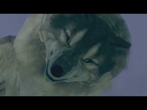 DARK SOULS - Great Grey Wolf Sif No Hit (Melee Only) 4K