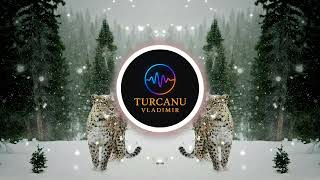 Download lagu Beautiful Instrumental Beat | Emotional Hybrid Music by Turcanu Vladimir mp3