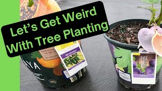 Anti-Design Food Forest feat: Fig, Papaya, and Asparagus