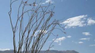 Mary McCaslin - Prairie In The Sky