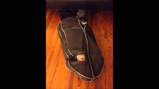 death grips - whatever I want instrumental