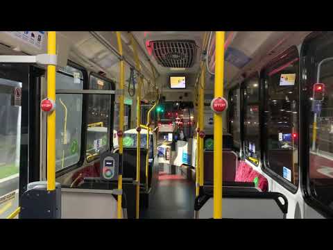 STA Sydney 2563 ST - Scania K280UB (ZF EcoLife)