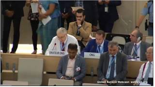Prof. Gerald Steinberg at the UN Human Rights Council