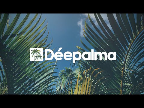 Levthand - Cadillac Track (Meines Remix) [Déepalma Records]